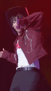 Jin Bts Cowboy GIF