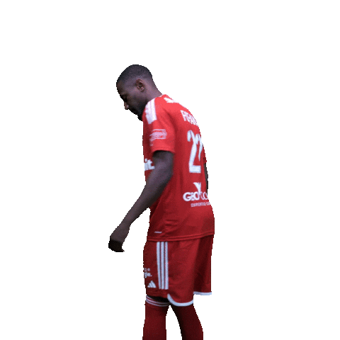Fofana Sticker by SO CHOLET
