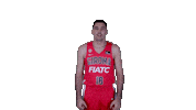 Celebrar Liga Endesa Sticker by ACB