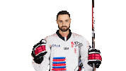 La Roche Sur Yon Donald Sticker by Hockey Glace Yonnais