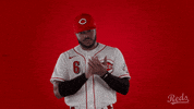 Phillip Ervin Baseball GIF by Cincinnati Reds