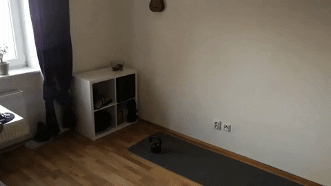 EntrenadorWellness giphygifmaker GIF