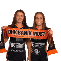 Handball Handballplayer Sticker by DHK Baník Most - Černí andělé
