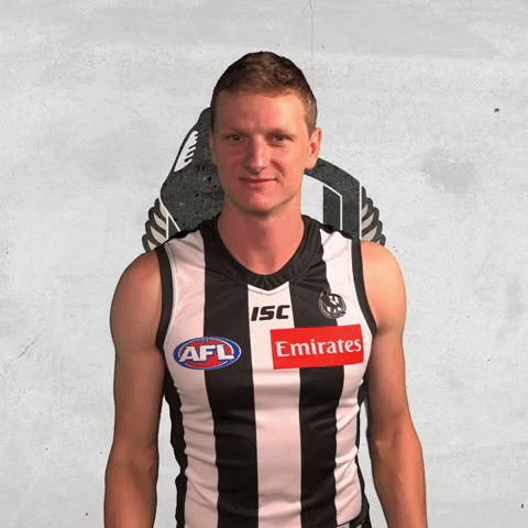 collingwoodfc giphyupload pies collingwood magpies GIF