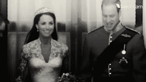 princess of wales GIF