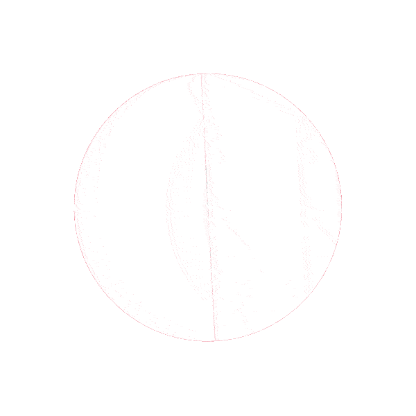 Concert Badge Sticker by Live Nation