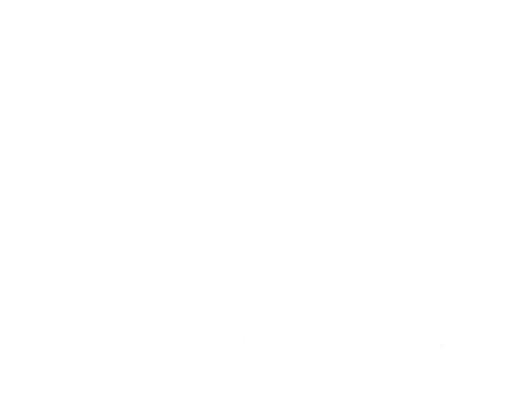 OperaCarolina giphyupload showtime opera night out Sticker