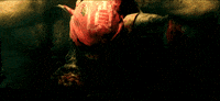 Teenage Mutant Ninja Turtles GIF
