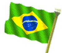 brazil STICKER