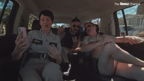 Reno 911 GIF by The Roku Channel