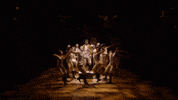 Hamilton Musical Broadway GIF by BroadwaySacramento