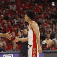 Arizona Wildcats Celebration GIF by Arizona Athletics