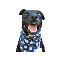 Happy Dog Sticker by Geekster Pets