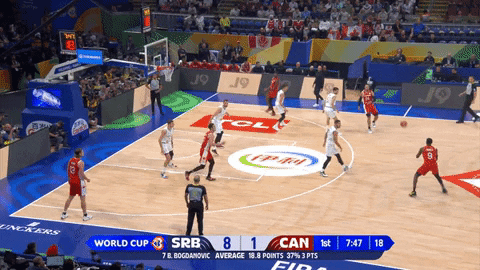 curkovicBCL giphygifmaker GIF