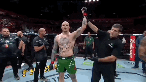 Happy Mixed Martial Arts GIF by UFC