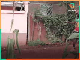 Forrest Gump Running GIF by adamant media