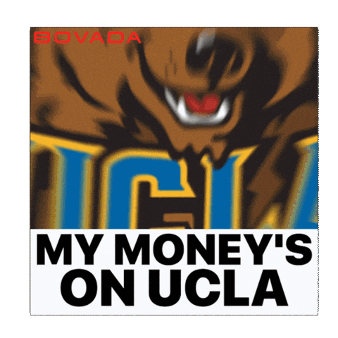 Ucla Bruins Sticker by Bovada