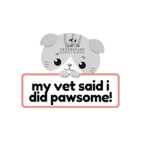 Sticker by Spot On Vet Hospital & Hotel