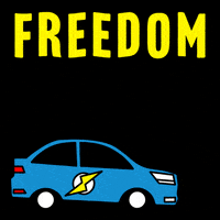 United States Freedom GIF by INTO ACTION