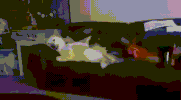 dan GIF