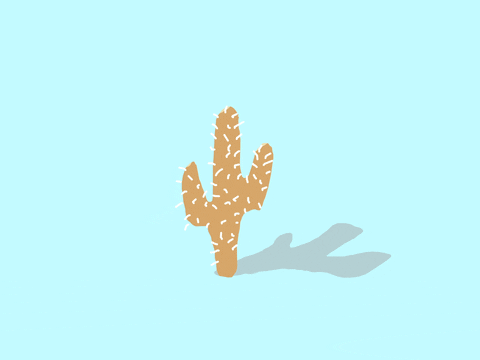 artofmadeleine giphyupload cactus desert stillness GIF