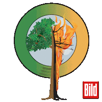 Brand Pray Sticker by BILD