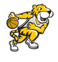 Basketball College Sticker by Towson University