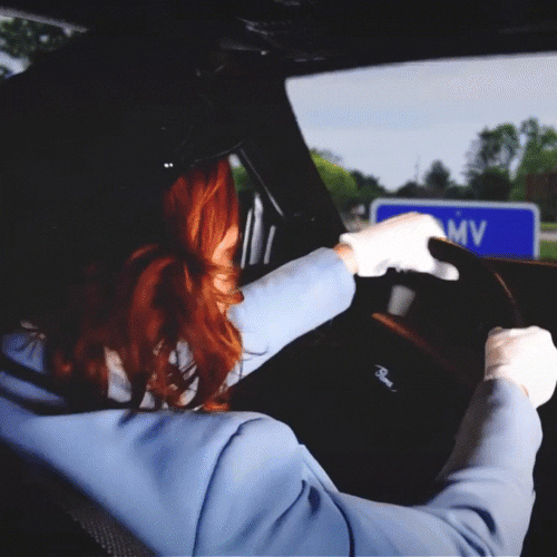 Driving Round About GIF