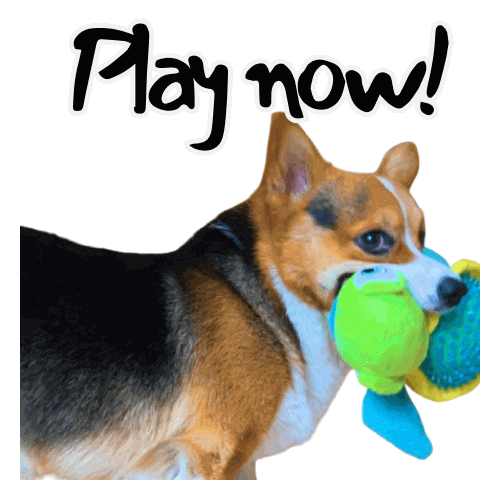 Kids Play Sticker