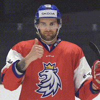 SKODACZ fun car hockey win GIF