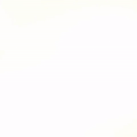 vinefun GIF by Brittlestar