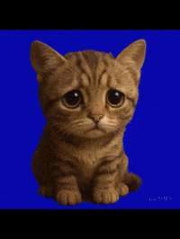 Sad Cat GIF by Maryanne Chisholm - MCArtist