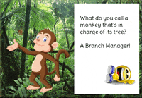Monkey GIF