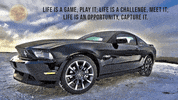 Quote GIF by Positive Programming