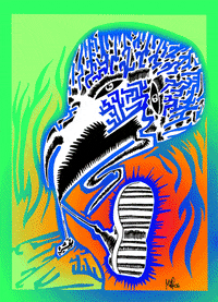 Colour GIF by Miron