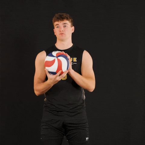 Fort Wayne Volleyball GIF by Purdue Fort Wayne Athletics