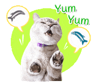 cat nom Sticker