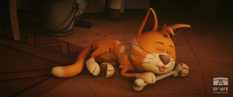 Cat Sleeping GIF by 10e Ave Productions