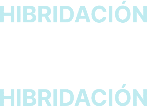 Proyecta22 Sticker by ESDA