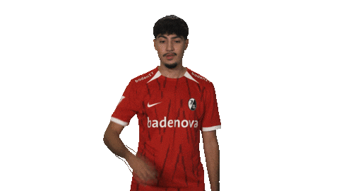 Oh No Vbl Sticker by Bundesliga