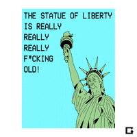 Statue Of Liberty Nyc GIF by gifnews