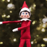 Merry Christmas Lol GIF by Respective
