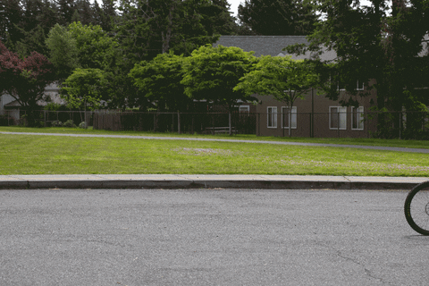 PNWComponents giphyupload GIF