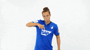Swipeup GIF by TSG Hoffenheim