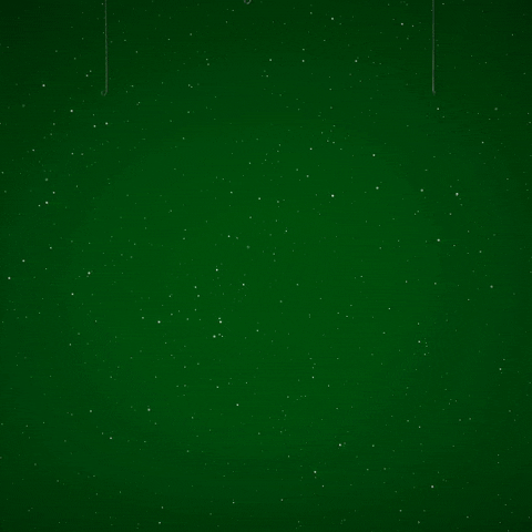 GIF by April Faison
