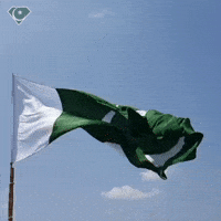 Flag Pakistan GIF