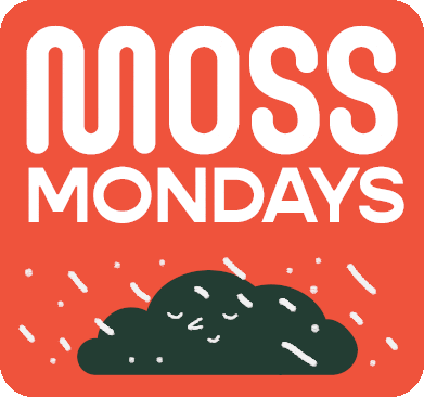 theswamp giphyupload plants moss bonsai GIF