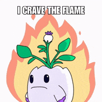On Fire Burn GIF by Magic Eden