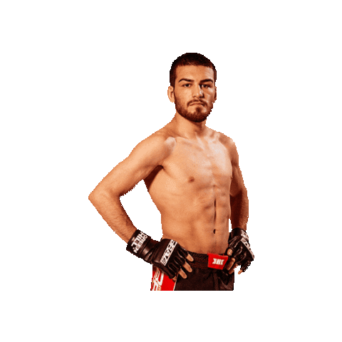 Mixed Martial Arts Mma Sticker by BRAVE Combat Federation