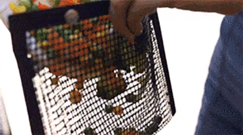 jengbautista giphygifmaker GIF